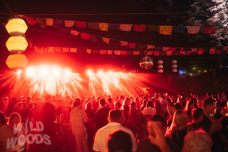 Bei Wild Woods im Märchenwald leuchten Scheinwerfer in Rot, während Bühnenlicht und Nebel die Menge in eine Party-Stimmung tauchen.