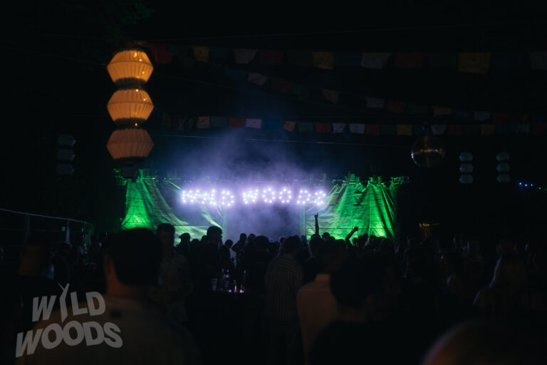 Bei Wild Woods Festival im Märchenwald sorgt eine Lichtshow mit grünem Bühnenlicht und Nebel für Gänsehaut, während Scheinwerfer den Raum erhellen.