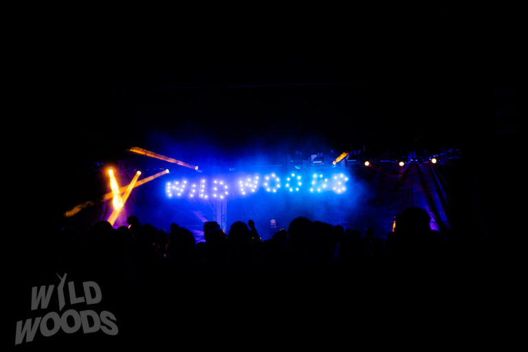 Bühne beim Wild Woods Festival: blaue Lichtbalken, orange Scheinwerfer und Nebel, davor Publikum im Dunkeln bei elektronischer Musik.