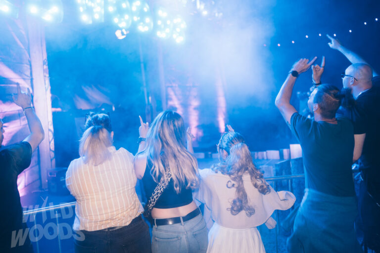 Beim Wild Woods Festival tanzen Besucher im blauen Schein, Nebel und Lichtstrahlen über der Menge, Hände in der Luft.