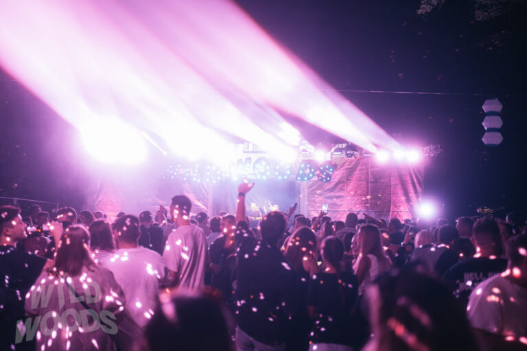 Wild Woods Festival bei Nacht: lila und pinkfarbene Lichtstrahlen, Nebel und eine volle Menge vor der Bühne im Märchenwald-Stil.