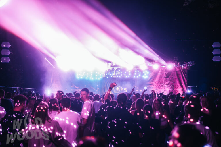 Lauter Crowd vor der Bühne beim Wild Woods Festival: violettes Licht, Nebel und starke Scheinwerfer in der Märchenwald-Atmosphäre von Trockendock.