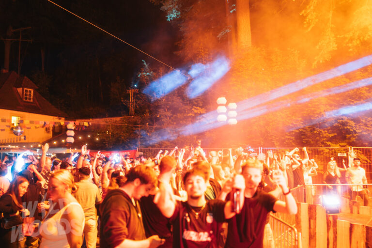 Im Wild Woods Festival feiern die Fans bei Nacht, orangefarbene Lichtstrahlen und Nebel ziehen über die Tanzfläche im Märchenwald.